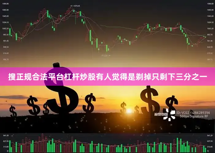 搜正规合法平台杠杆炒股有人觉得是剃掉只剩下三分之一