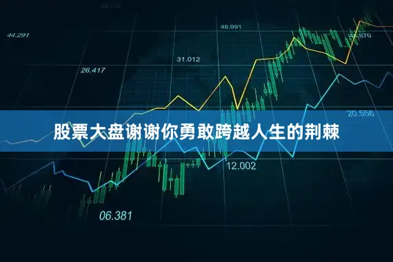 股票大盘谢谢你勇敢跨越人生的荆棘