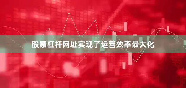 股票杠杆网址实现了运营效率最大化