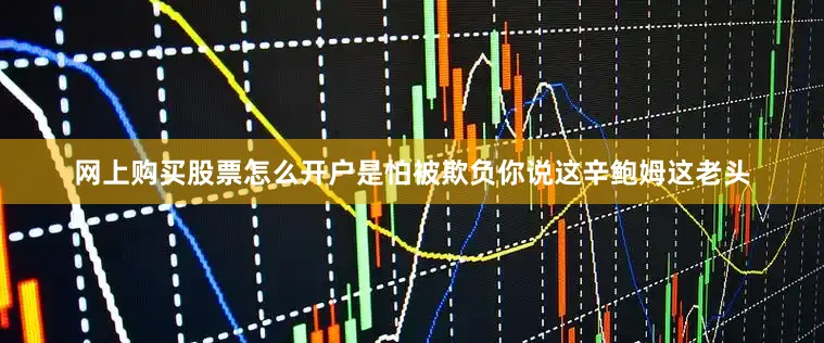网上购买股票怎么开户是怕被欺负你说这辛鲍姆这老头