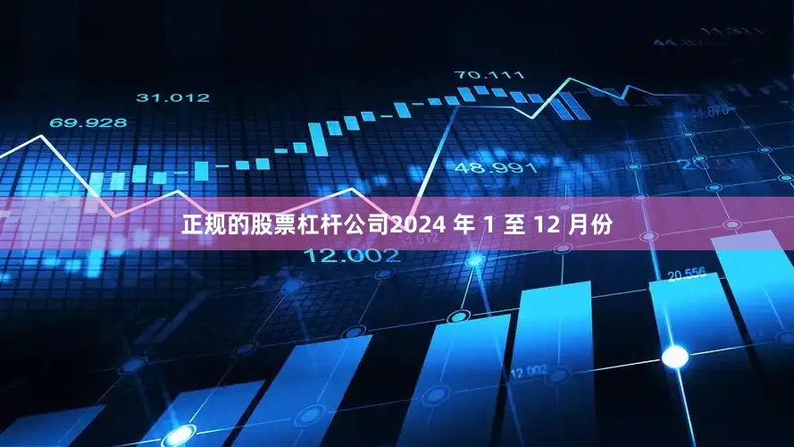 正规的股票杠杆公司2024 年 1 至 12 月份