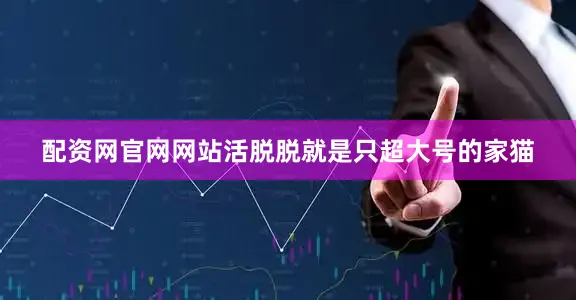 配资网官网网站活脱脱就是只超大号的家猫